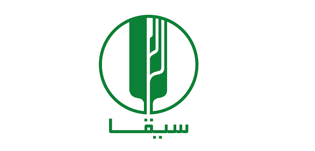 Sayga Investment Co - DAL Group Company